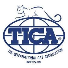 TICA Registered