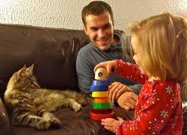 John Miller - Cattery Founder